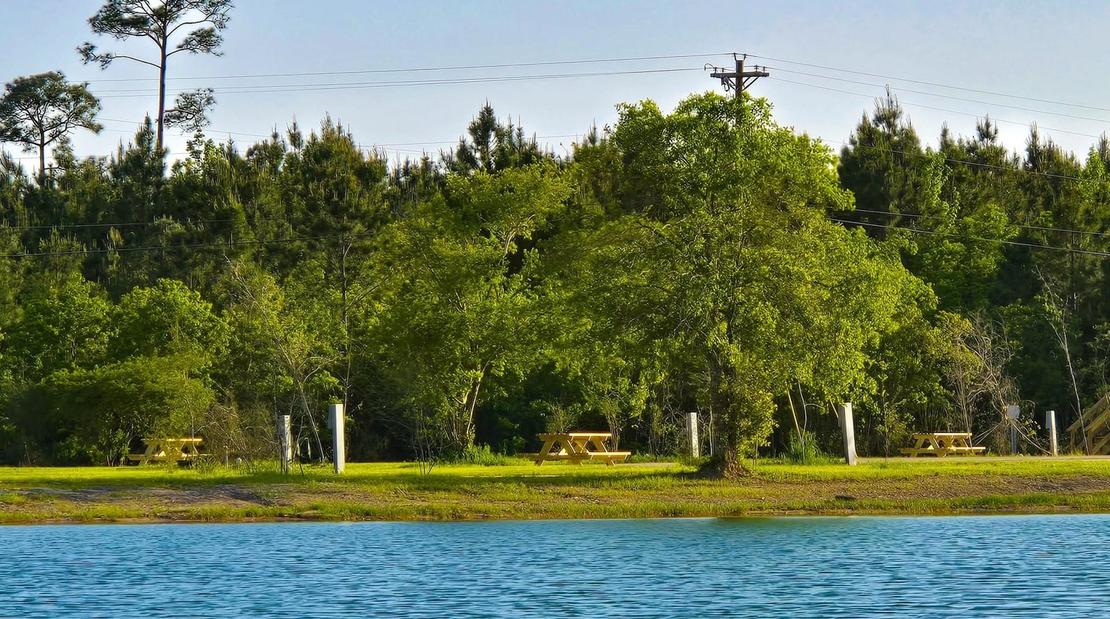 Calm lake framed by tall Mississippi pines at Lake LaCroix RV Resort