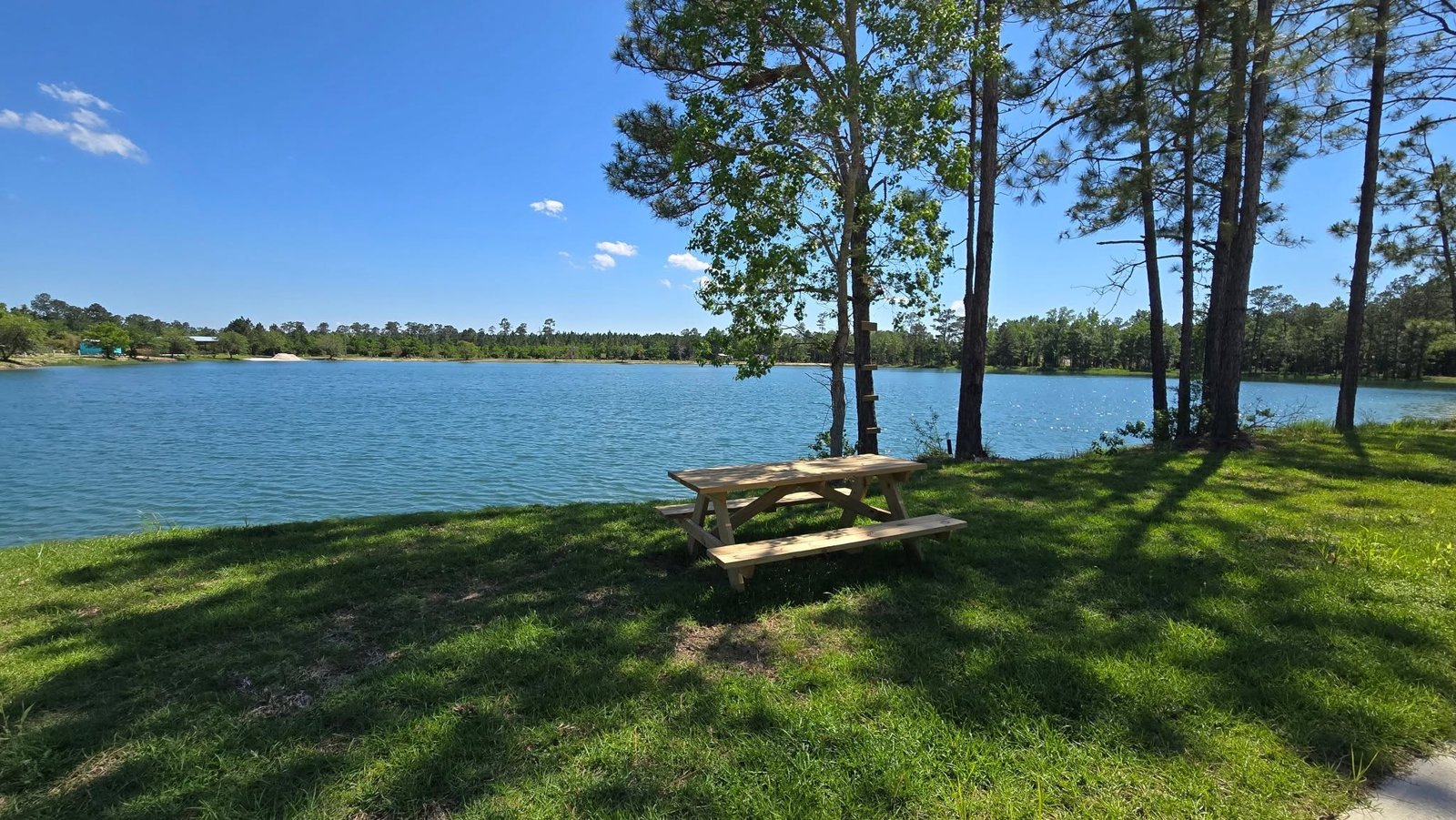 Grassy full-hookup waterfront RV sites along the pines at Lake LaCroix