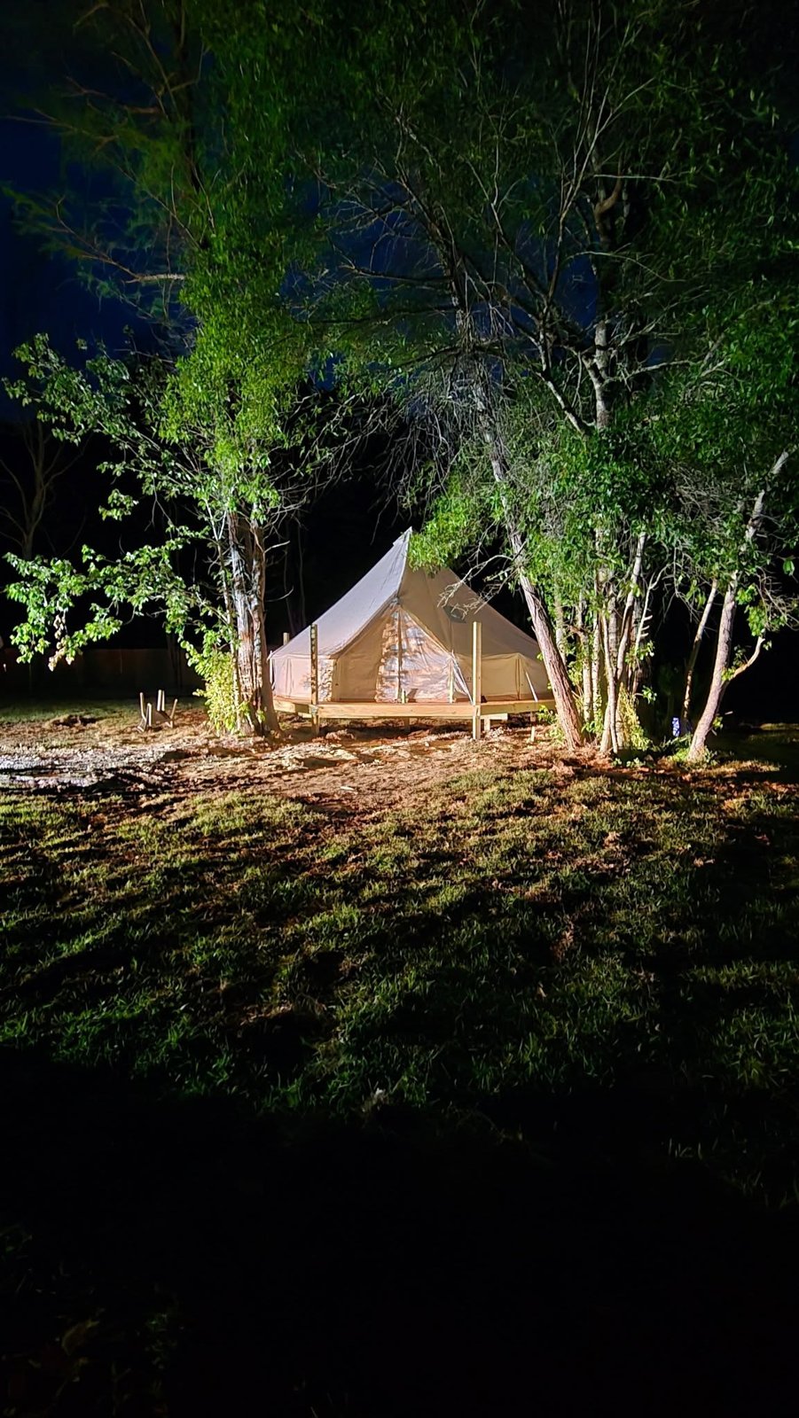 Glamping bell tent glowing at dusk among the pines